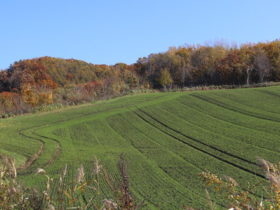 夏空－なつぞらー